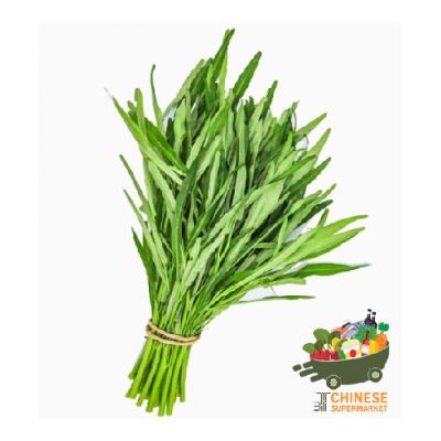 空心菜 (ผักบุ้งจีน)
