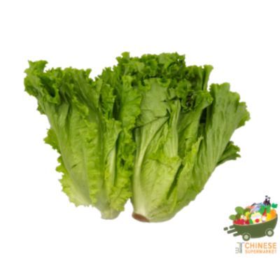 生菜 (ผักสลัดไทย)