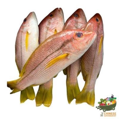 冰鲜红鲷鱼 (ปลากระพงแดงสด) - KG.