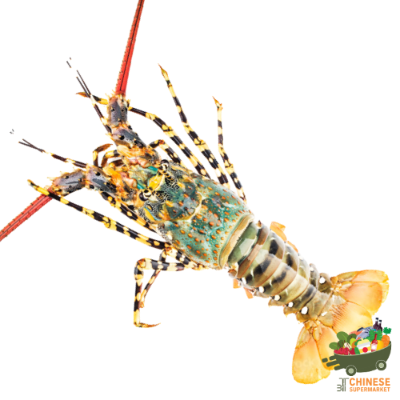 七彩龙虾 (กุ้งมังกร7สี)
