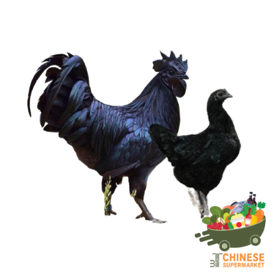 乌鸡 (ไก่เทา)