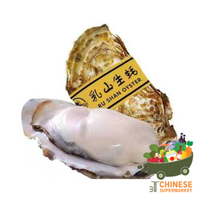 中国生蚝 / หอยนางรมจีน - ฝา
