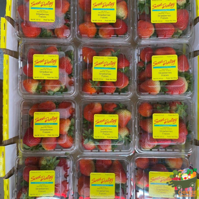 美国🇺🇸精品草莓🍓12盒X250克一箱(สตอเบอร์รี่ USA Sweet darling) - ลัง