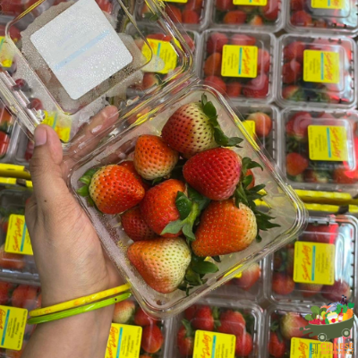 美国🇺🇸精品草莓🍓半箱(สตอเบอร์รี่ USA Sweet darling) - ครึ่งลัง