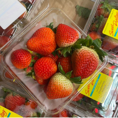 美国🇺🇸精品草莓🍓每盒(สตอเบอร์รี่ USA Sweet darling) - กล่อง