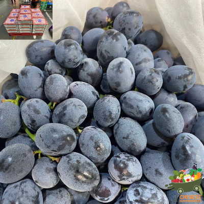 中国🇨🇳特选黑葡萄🍇半箱(องุ่นดำออทั่มตรานกแก้ว) - ครึ่งลัง