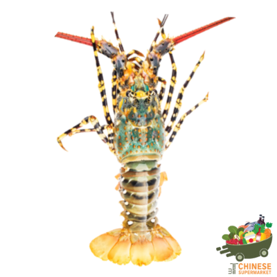 七彩龙虾 กุ้งมังกร 7 สี - KG