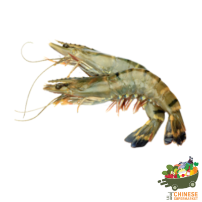 活竹节虾 กุ้งลายเสือ- KG