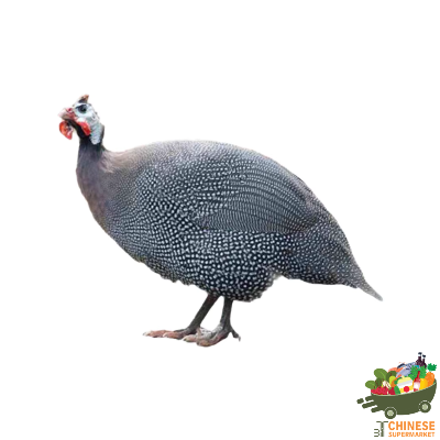 珍珠鸡一只(ไก่ต๊อก) - ตัว