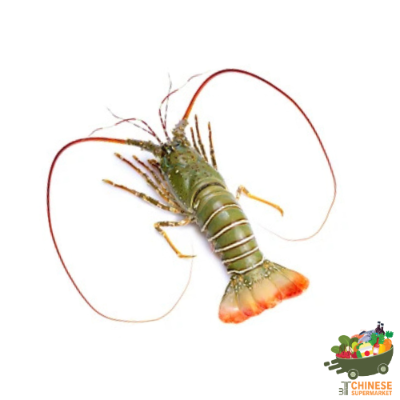 青龙(กุ้งมังกรเลน)
