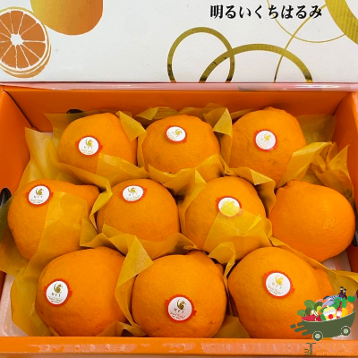特选丑橘🍊礼盒装半箱(ส้มจุกนกแก้ว)  - ครึ่งลัง