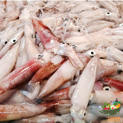 小鱿鱼 (ปลาหมึกกระตอย) - KG