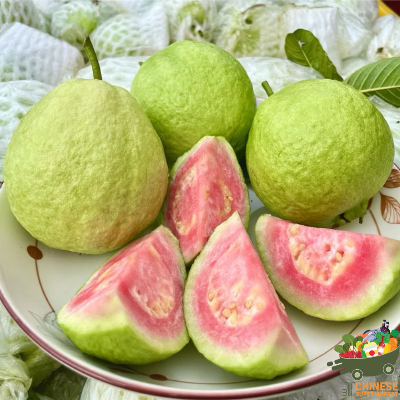宅鲜送无公害红心芭乐 (ฝรั่งไส้ชมพู) - KG.