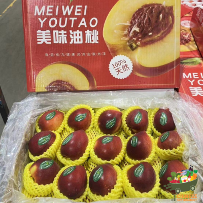 特选美味油桃6kg一箱เนคทาลีนแดงจากจีน(ลัง)