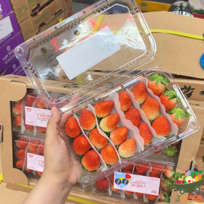 韩国🇰🇷原进口草莓🍓半箱 (สตอเบอร์รี่เกาหลี) - ครึ่งลัง