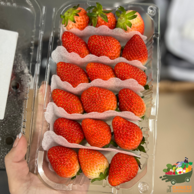韩国🇰🇷原进口草莓🍓 每盒(สตอเบอร์รี่เกาหลี) - กล่อง