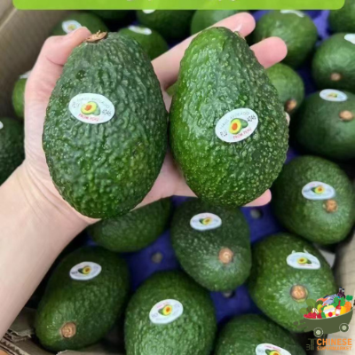 秘鲁🇵🇪特选牛油果🥑28-30个一箱อะโวคาโดจากเปรู - ลัง