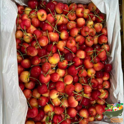 美国🇺🇸大号黄金车厘子🍒4公斤เชอร์รี่ทอง4 kg. CMI Orchard - ลัง