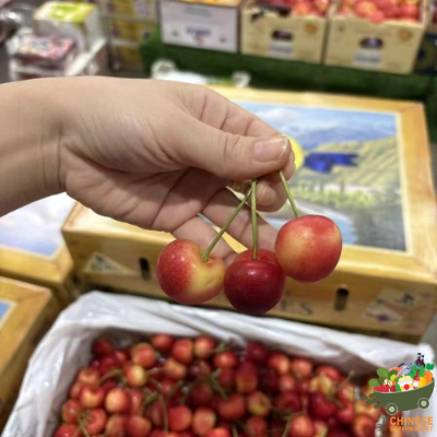 美国🇺🇸大号黄金车厘子🍒4公斤เชอร์รี่ทอง4 kg. CMI Orchard - KG.
