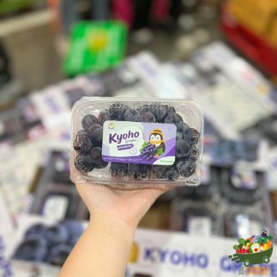 特选巨峰葡萄每盒🍇องุ่นดำเคียวโฮ 500g. ก.ขาว - กล่อง