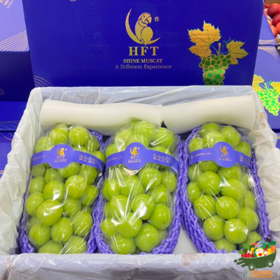 中国🇨🇳特选晴王👑3串一箱(องุ่น Shine muscat นกแก้ว 3 ช่อฝา) - ลัง