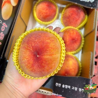 韩国🇰🇷原进口水蜜挑🍑6个พีชเกาหลีแท้ - กล่อง