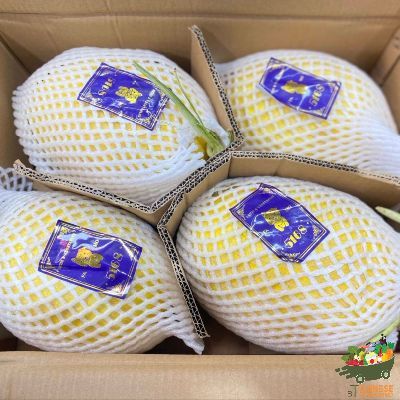 新疆黄金哈密瓜🍈4个一箱แตงทิเบตปาลิ่วสีทอง - ลัง