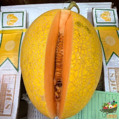 新疆黄金哈密瓜🍈半箱แตงทิเบตปาลิ่วสีทอง - ครึ่งลัง