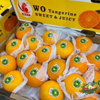 台湾特大沃柑一箱6公斤 (ส้มไต้หวันนกแก้วXL)