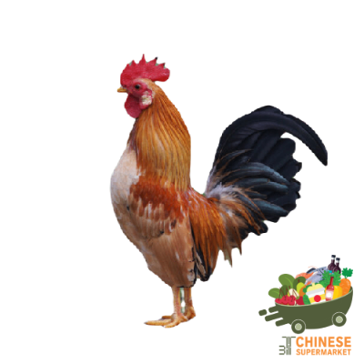 山鸡 ไก่แจ้ - ตัว