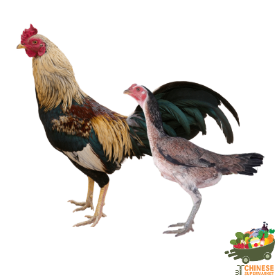 土鸡 ไก่บ้าน - KG