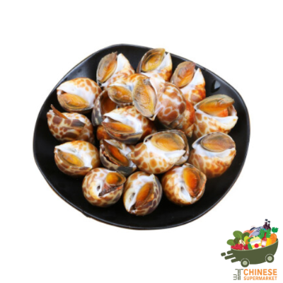 东风螺 หอยหวาน - KG