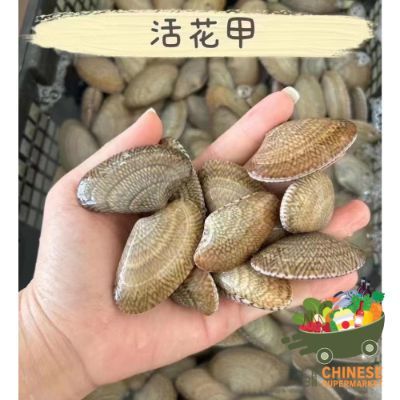 花甲 (หอยลาย) - KG
