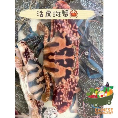虎斑蟹 (ปูม้าลายเสือ) - KG