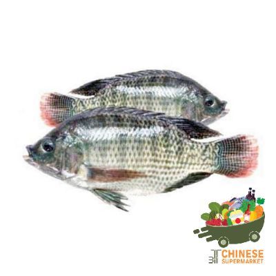 活罗非鱼 (ปลานิล) - KG