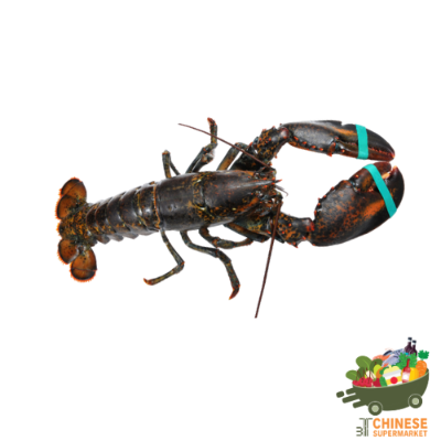 中国活波斯龙 (กุ้งล็อบสเตอร์จีน) - KG
